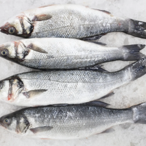 Seabass (قاروص)
