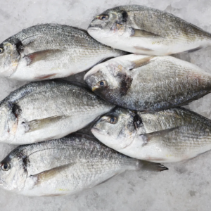Seabream (سمك الدنيس)